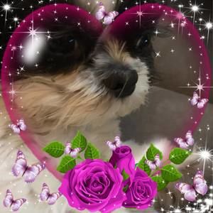 Meet your Posher, Judy